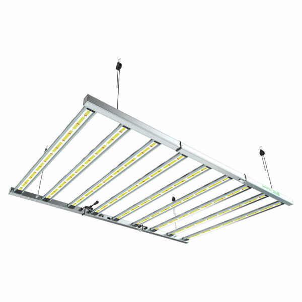 LAZERLITE PRO 1080W 3.1